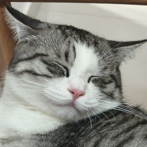 podcaster-avatar