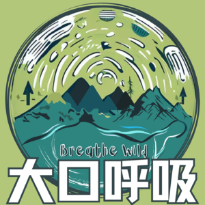 Vol.3: 20岁，我Gap了2年，背包旅行40多个国家
