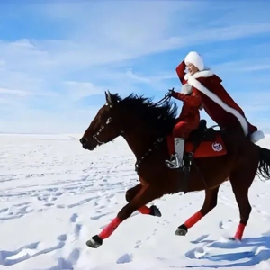 贺娇龙，我该怎样与你告别