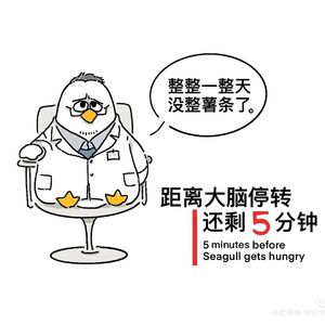 贝蒂2024