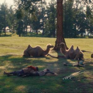 "再颠簸的生活也要闪亮地过呀！"｜《我的阿勒泰》