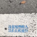 未名湖畔的程艾影