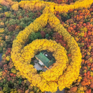 Vol.29 对谈南京土著：南京“潘西”带你寻味金陵