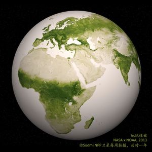 人类的好朋友｜植物如何过冬