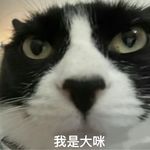 小咪咪咪咪咪咪咪