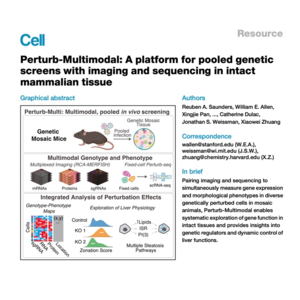 003-Perturb-Multimodal Imaging and Sequencing