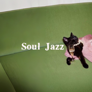 【Playlist】一些慵懒的松弛感 | 爵士乐 | 氛围感 | 聚会 | 休息 | 背景音 | 工作 | 通勤