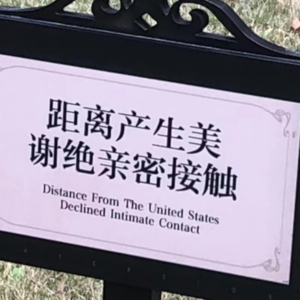 No.11-三十未婚，但我找到了心想事成的方法