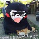 逗淼
