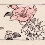 裕硕