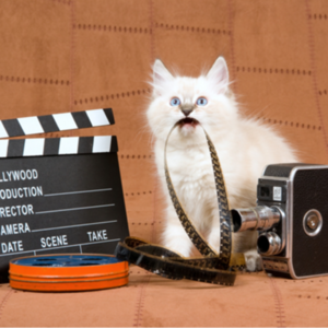 用南京话朗诵《古风 黄昏》，及冗长的开场白交待