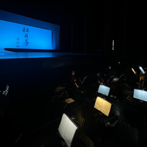 vol.026 青春版《牡丹亭》:牡丹亭上三生路,朋友们都来走几步