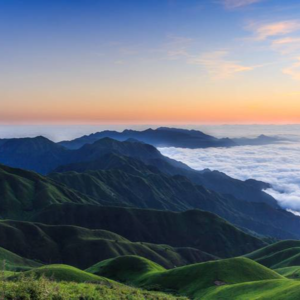 宏观下行社会躺平阶段的资产选择