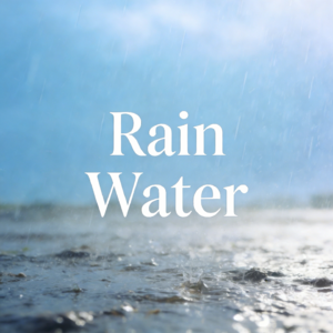 节气行吟——雨水（英文版）