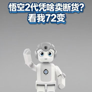 第571集 悟空2代凭啥卖断货 看我72变