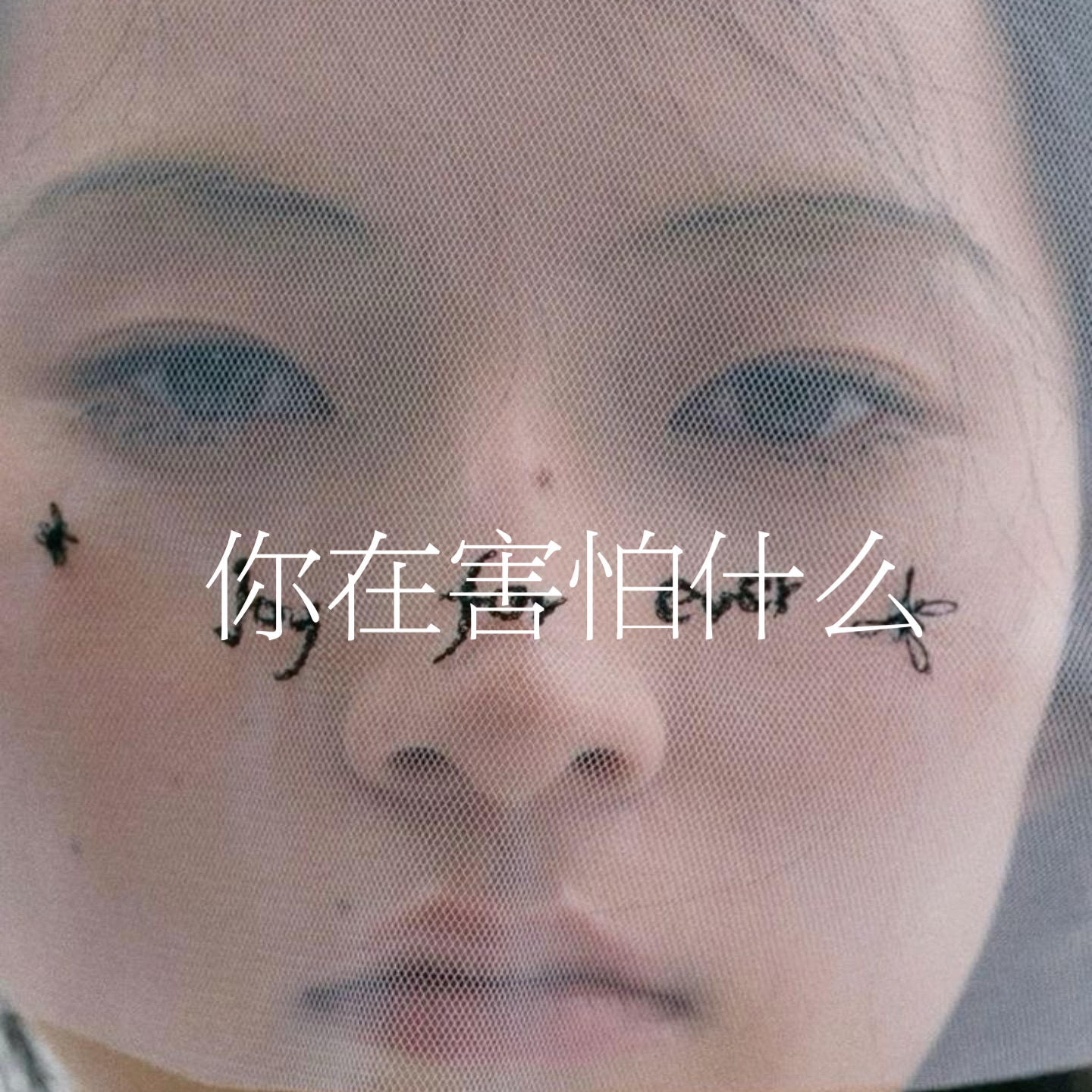 49.你在害怕什么？