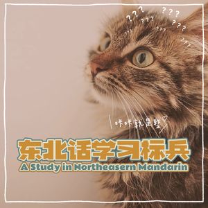 胆子很小的猫