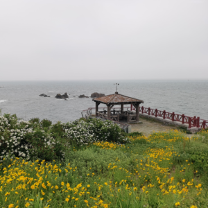 VOL123.爱情需要抓大放小，但一些小细节可以提升恋爱幸福感。