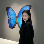 佛系少女黄橙子