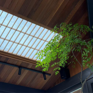 EP50 从“我是谁”到“我在看”：一场关于自我觉醒的对话