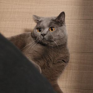 SadieLiu