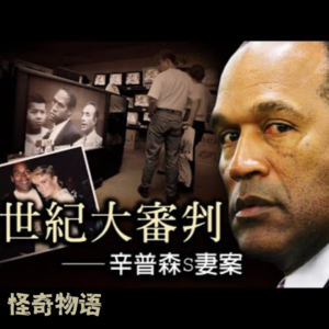 美国司法制度的耻辱！种族歧视？平权运动？揭秘世纪审判辛普森杀妻案！