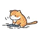 Rv_