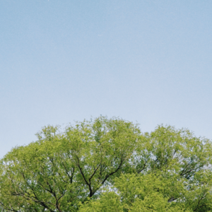 EP342: 成天上山又下海的，咱得为运动加个"保险" ft. 不太保险 x 自由浅谈