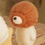 陈皮李子
