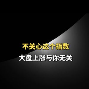 不关心这个指数，大盘上涨与你无关
