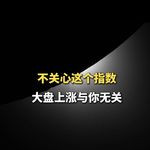 不关心这个指数，大盘上涨与你无关