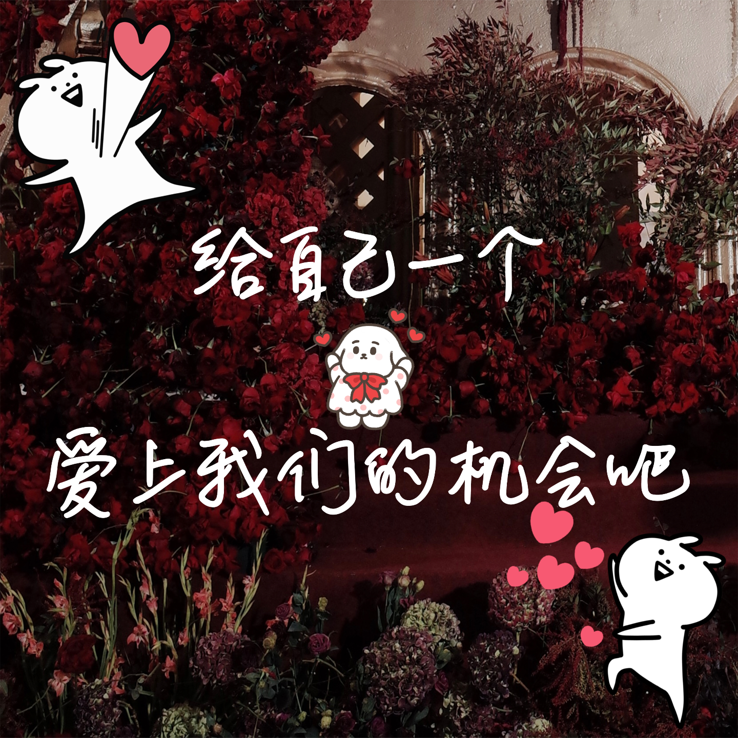 VoL | 初识 给自己一个爱上我们的机会吧！ episode artwork