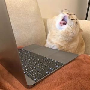 喝不喝一口乌龙茶