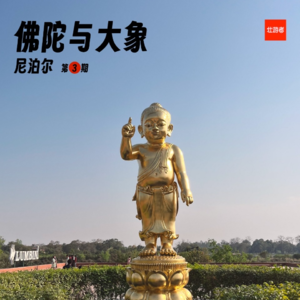 242 |尼泊尔| 大象和佛陀 - 平原、人象冲突、菩提树下和悉达多的旅行