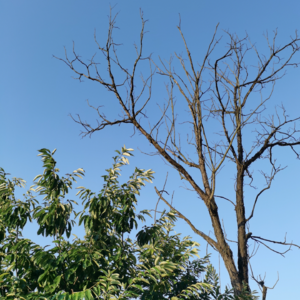 VOL152.别轻蔑少年时期感动过的东西。