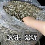 内谁谁谁谁