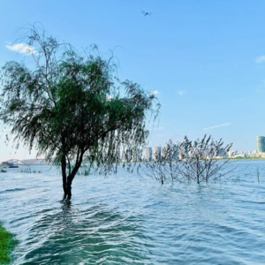 2. Hello母亲河 | 不是每一个湘水边长大的湘妹子都火辣辣！