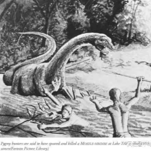 【神秘生物】活恐龙特辑（瑕疵版）