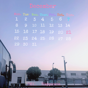 18 2025年初冬的细碎念头