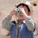 草莓芒果菠萝橘