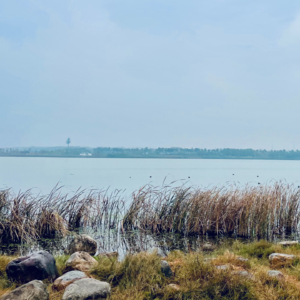 4. 河流守望者 | 参加完「河」伙人大会,我陷入了沉思……