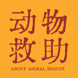 36. 救助动物,不是把它捡起来送到宠物医院这么简单