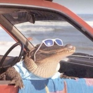 把脚脖子还给小王