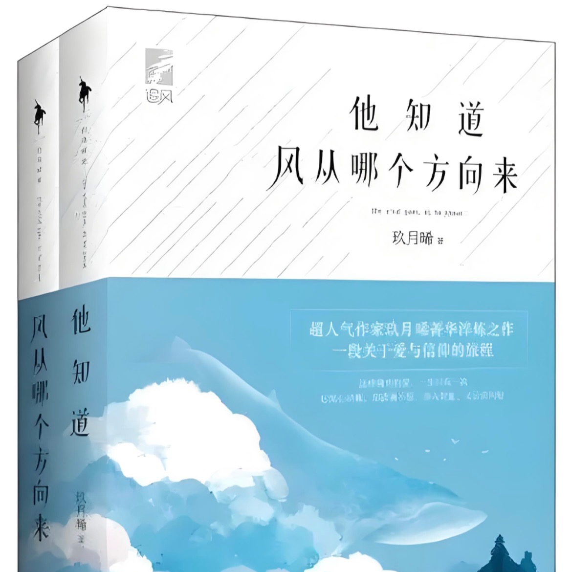 引子程迦- 他知道风从哪个方向来| 小宇宙- 听播客，上小宇宙