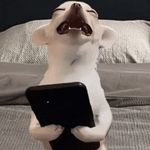 是一个宝藏