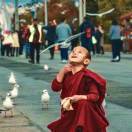 sangha