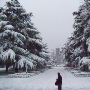 下雪不冷化雪冷？一个流传千年的错误认知