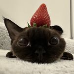 睡个好觉好不好