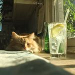 今日何须怀明日