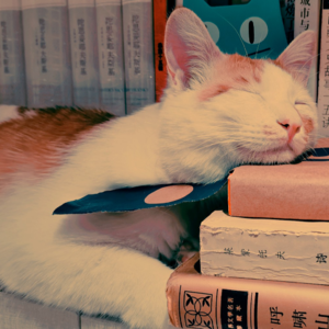 001-峰话连篇-首播-小试牛刀